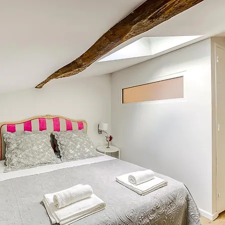 Duplex De Luxe A Elegance Et Confort 100m2 Climatisees Apartament Trévoux